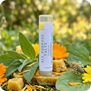 All Purpose Salve - Lip Balm
